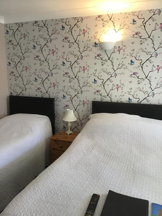 Motel The New